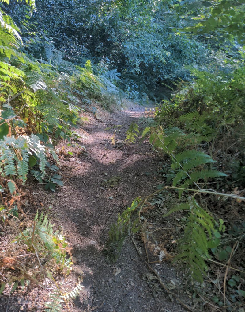 Parcours court par Verdet - Treillières