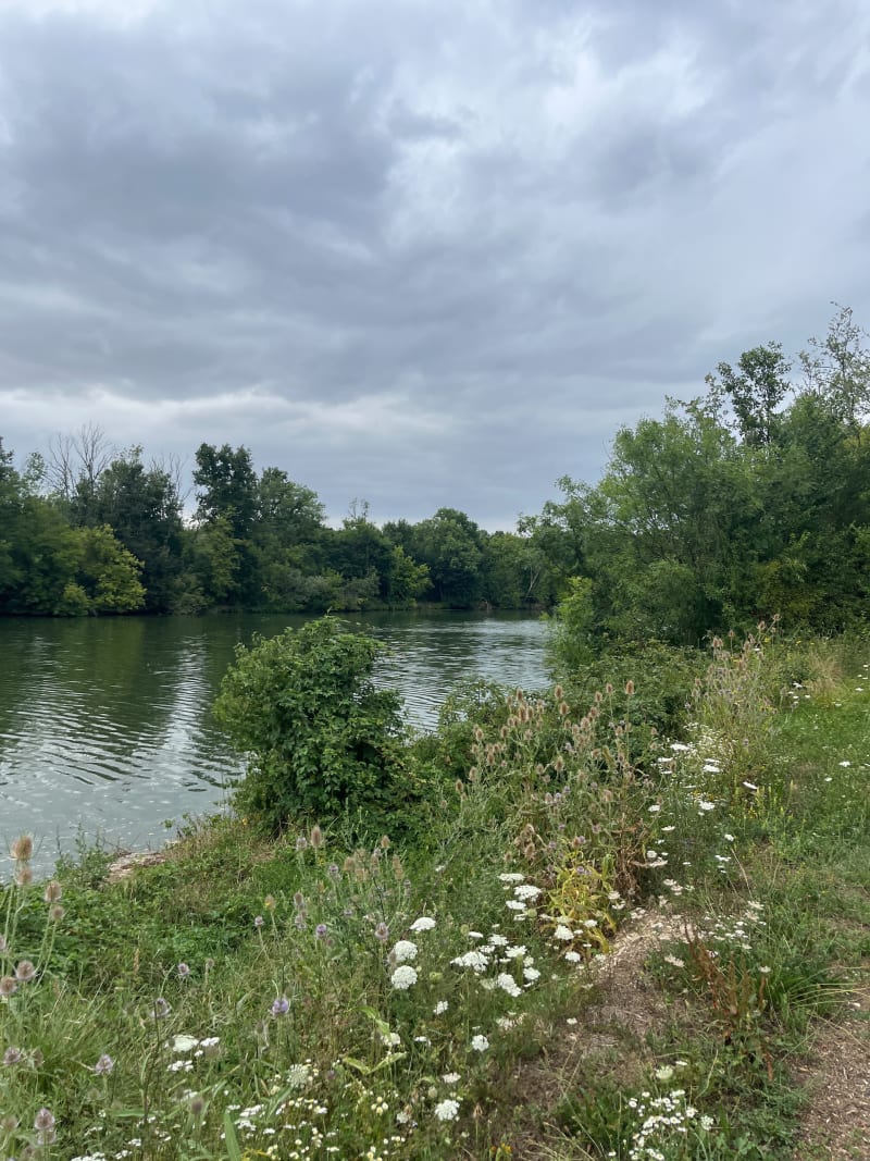 Bords de Saône et maraîcher - Labergement-lès-Auxonne