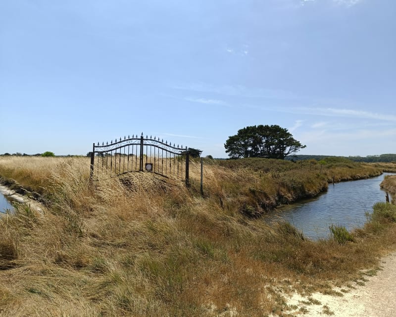 Promenade entre  Marais salante forêt et plage - L'Île-d'Olonne