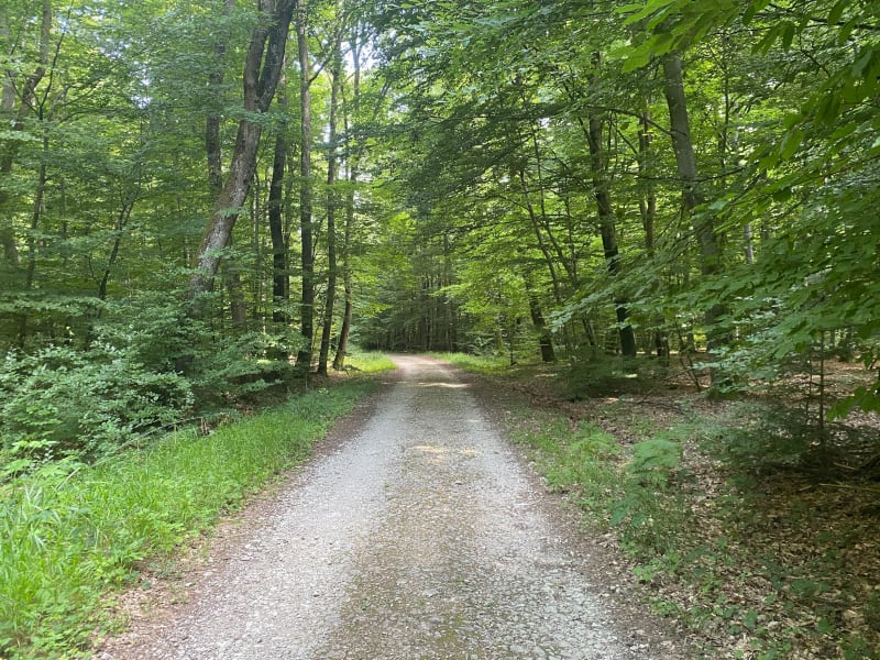 Le sentier des mélèzes - Durmenach