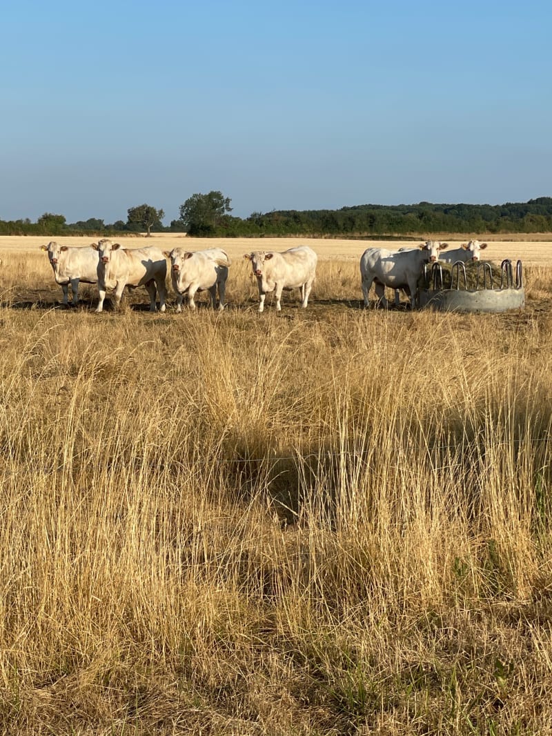 Nuret le Ferron et ses sentiers - Nuret-le-Ferron