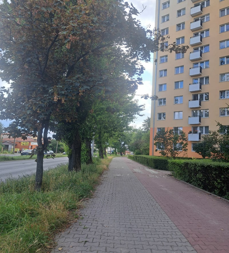 Trasa na krótki spacer z psem - Lublin