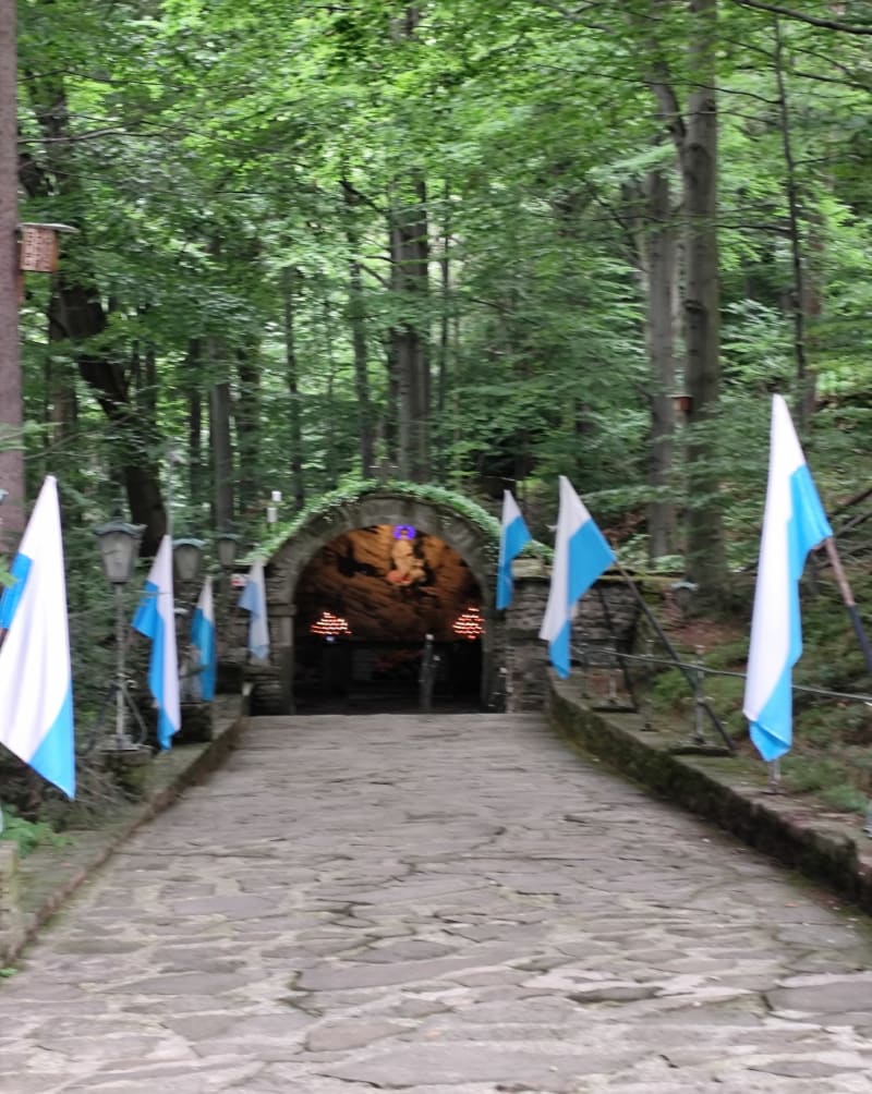 Trasa klimczok-szczyrk - Szczyrk