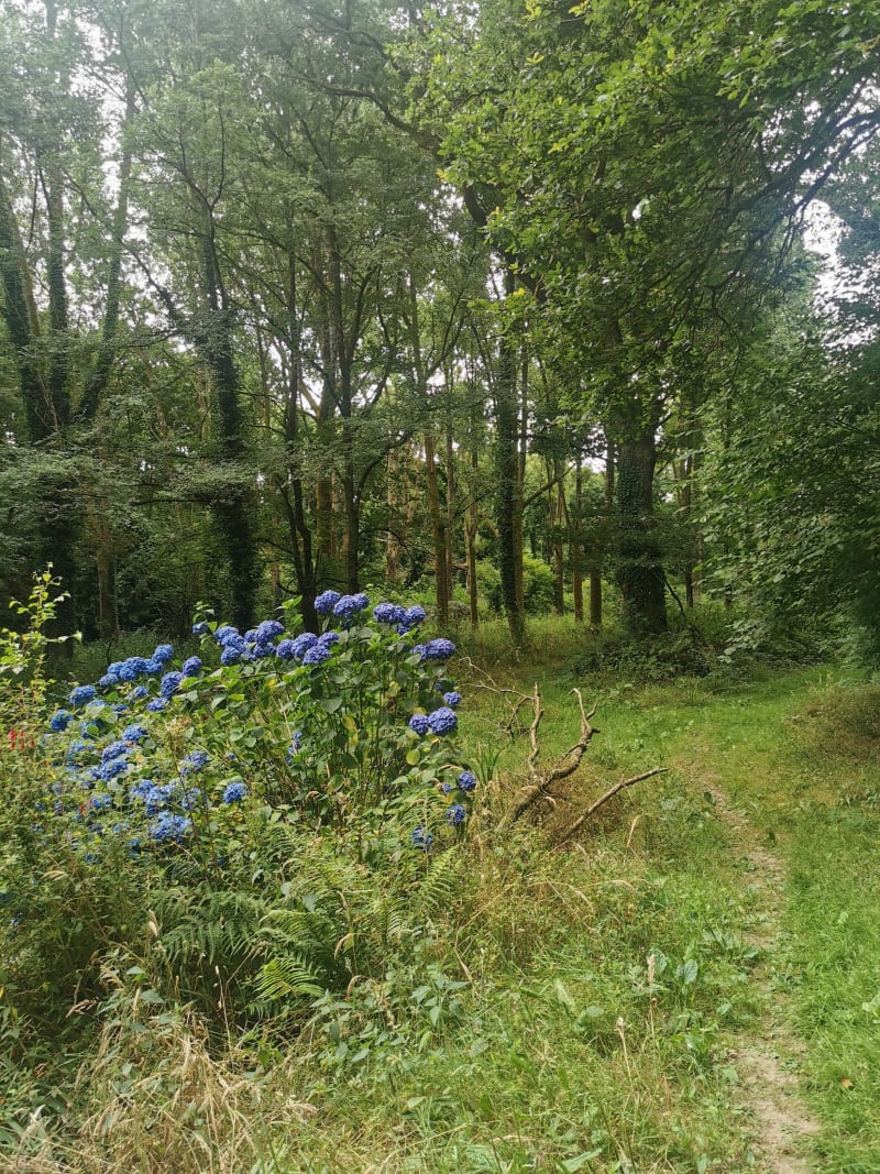 Carhaix - Canal de Nantes à Brest - Carhaix-Plouguer