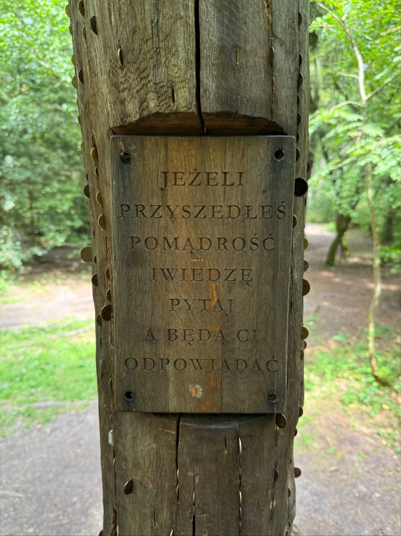 Miejsce mocy - Białowieża