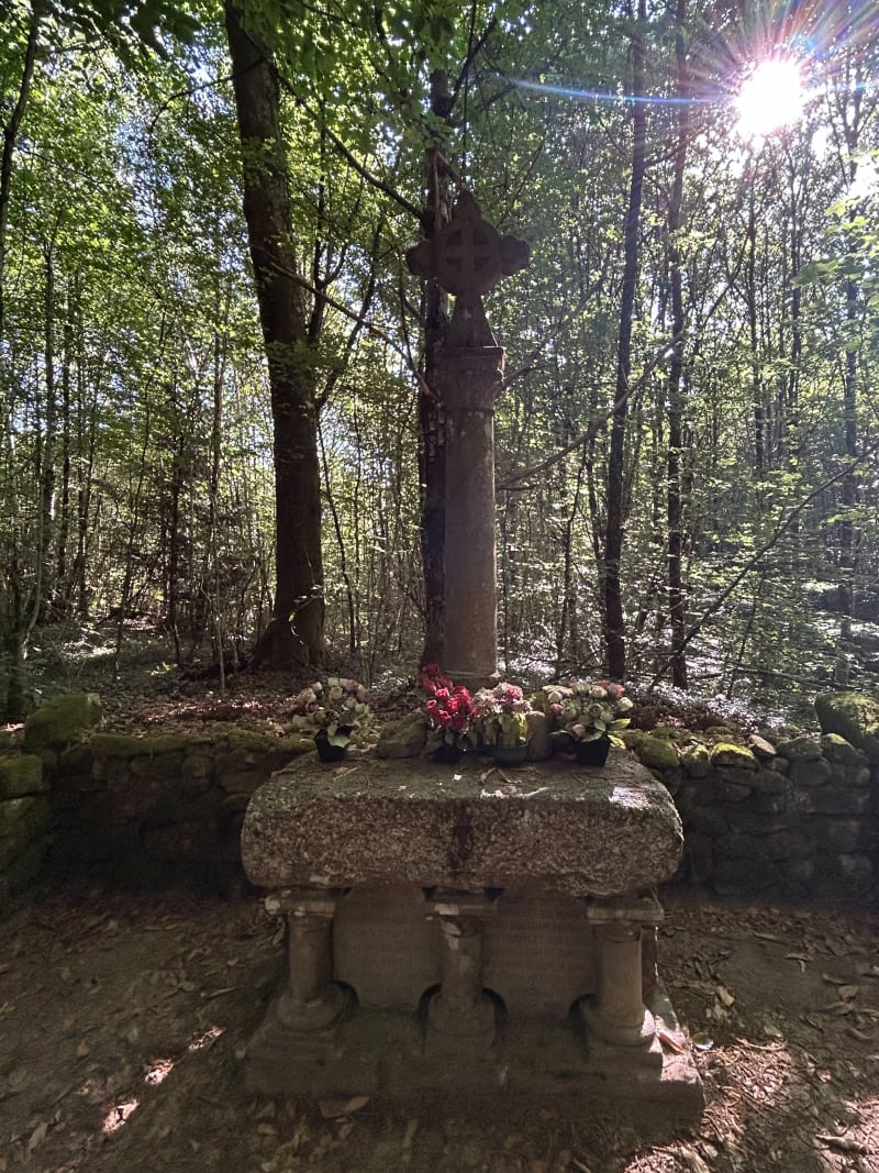 Sentier du dolmen à Ambazac - Ambazac