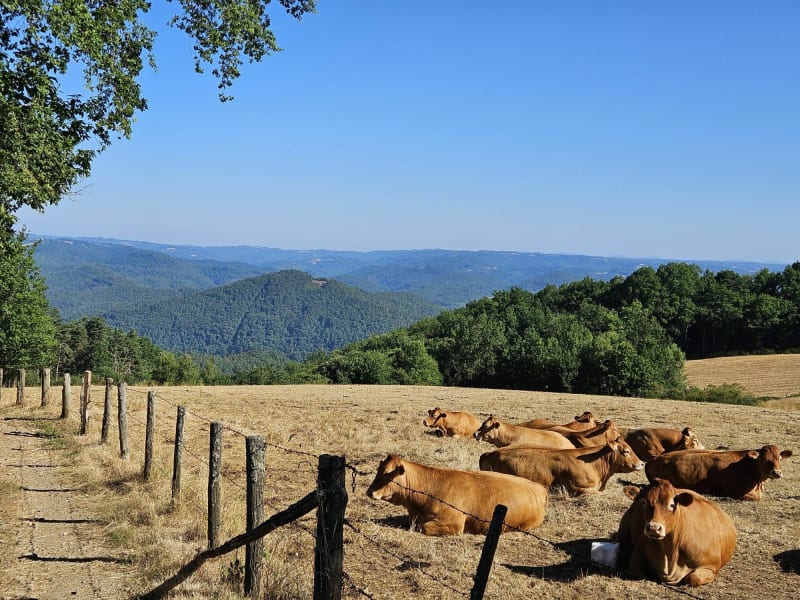 Parcours au départ d'Argentat - Argentat-sur-Dordogne