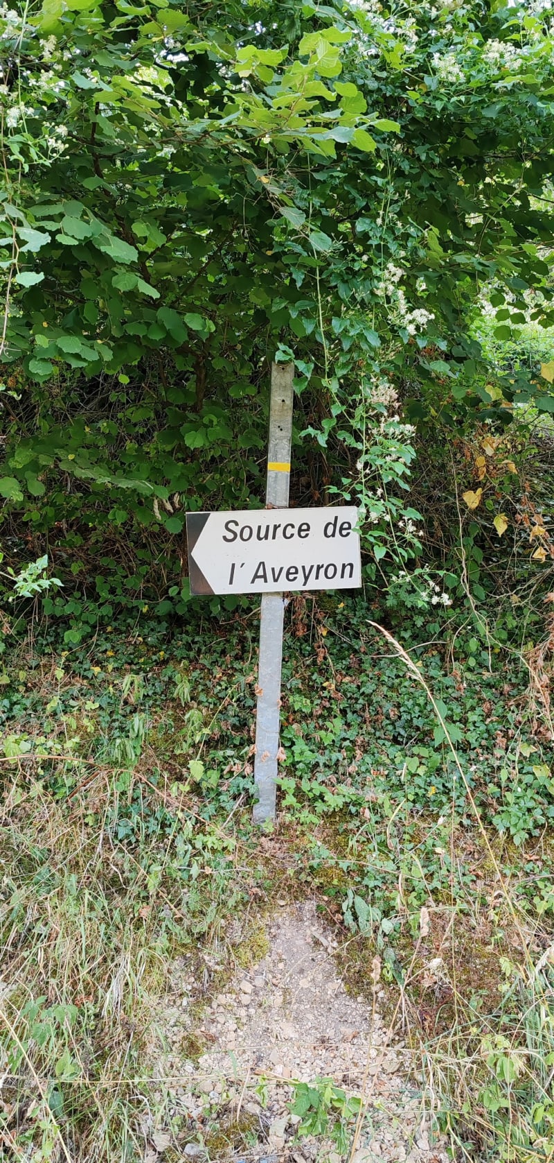 Randonnée a l'est de Séverac le château - Sévérac d'Aveyron