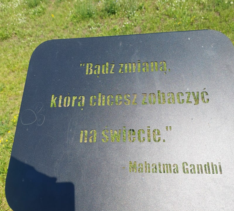 Ujście Zgłowiączki do Wisły - Włocławek