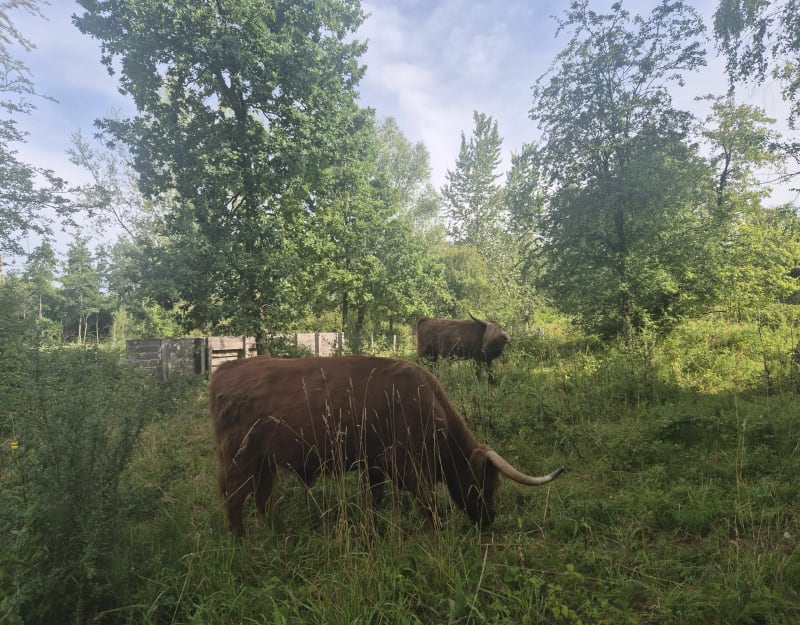 Balade autour des Ballastieres - Aire-sur-la-Lys