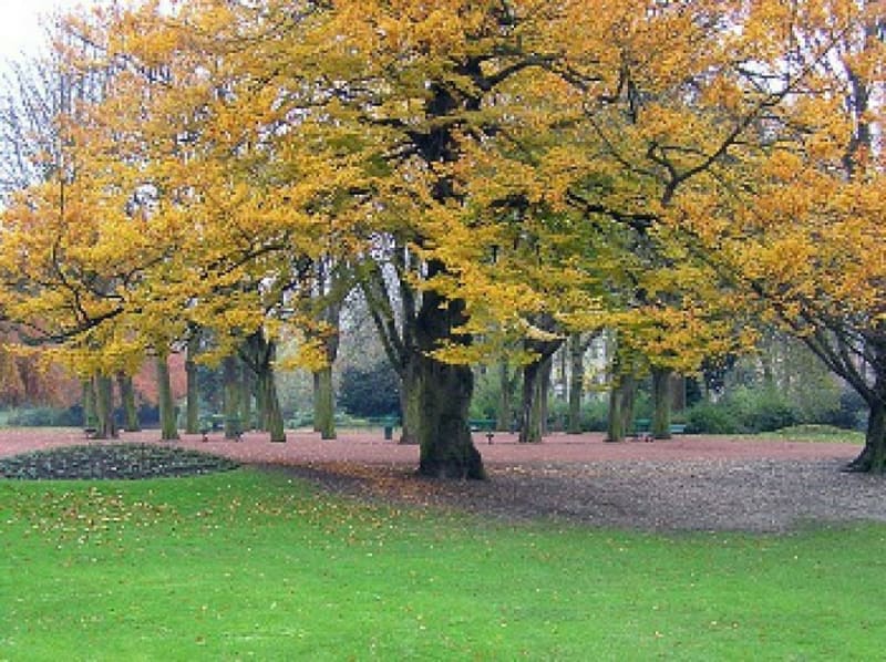 Autour de la Citadelle - Lille