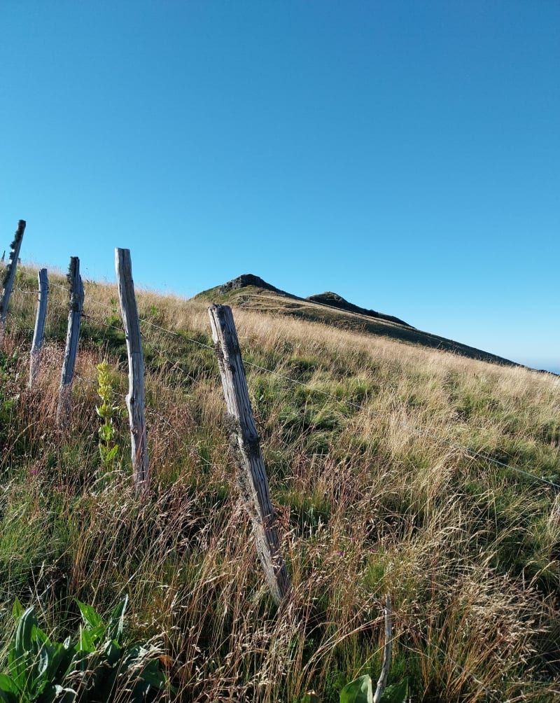 Puy de la poche . Elanceze et  Courpou sauvage - Mandailles-Saint-Julien