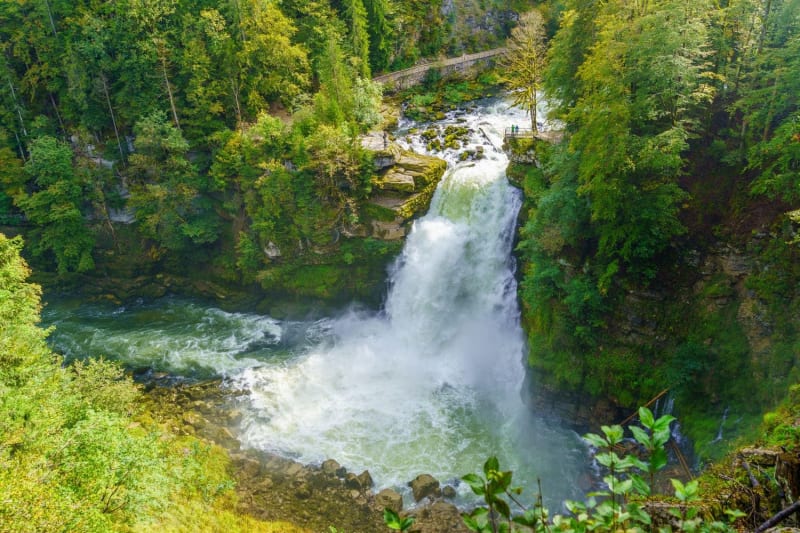 Randonnée Saut de Doubs : large chute d'eau entourée de végétation verdoyante
