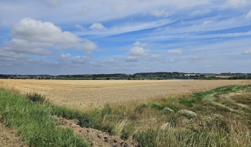 Dans la vallée de la Sensée - Sailly-en-Ostrevent