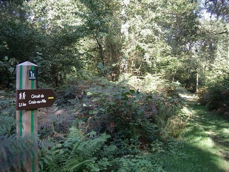 Circuit de Croix-ou-Pile - Beuvry-la-Forêt