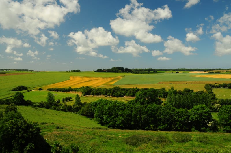 Sentier des Sources - Écaillon