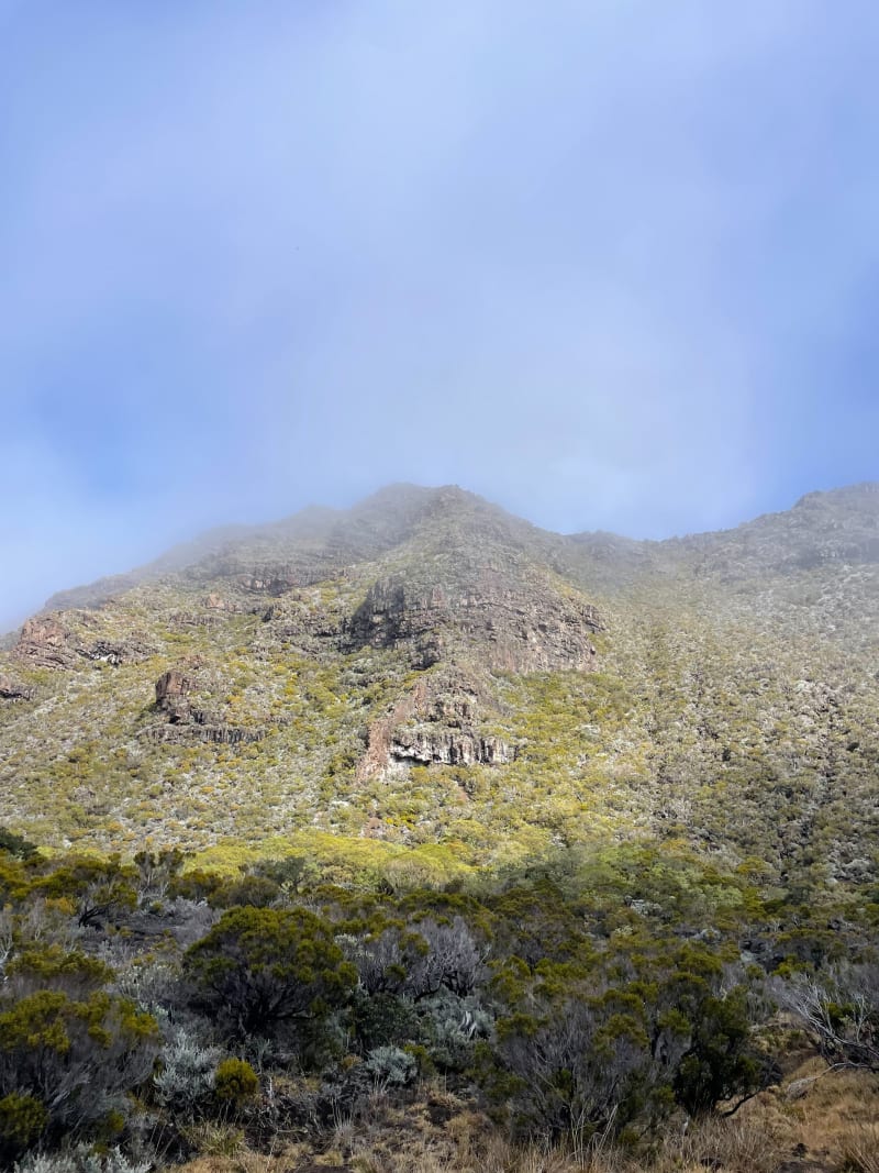 Randonnée sur le GR 2 depuis le gîte du Volcan - Sainte-Rose