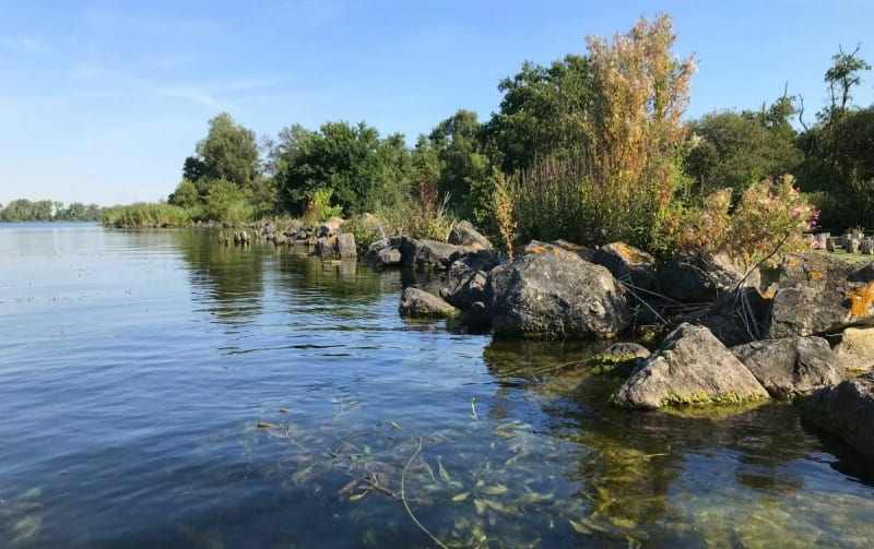Ronde weesp spiegelplas bantam en weer weesp - Weesp