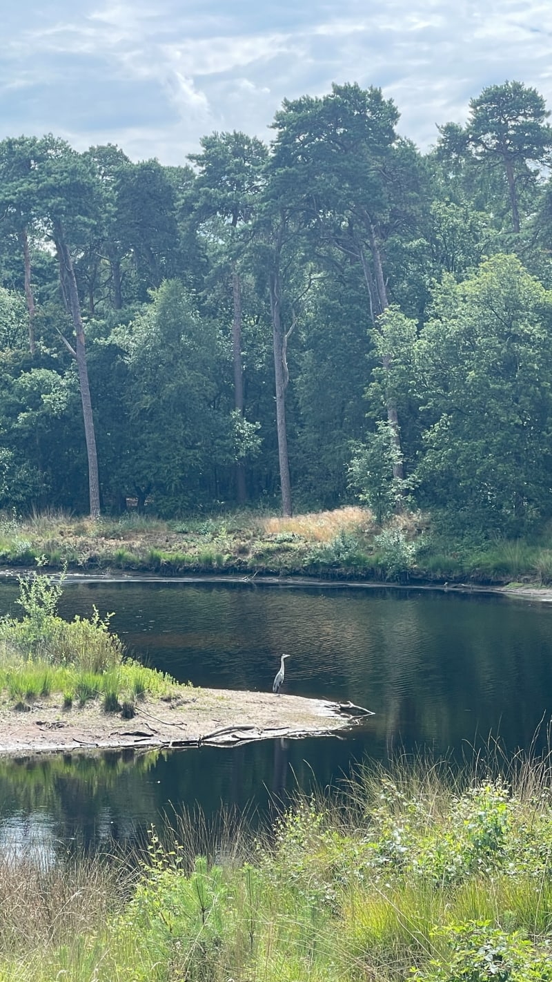 Veertien vennen route - Oisterwijk