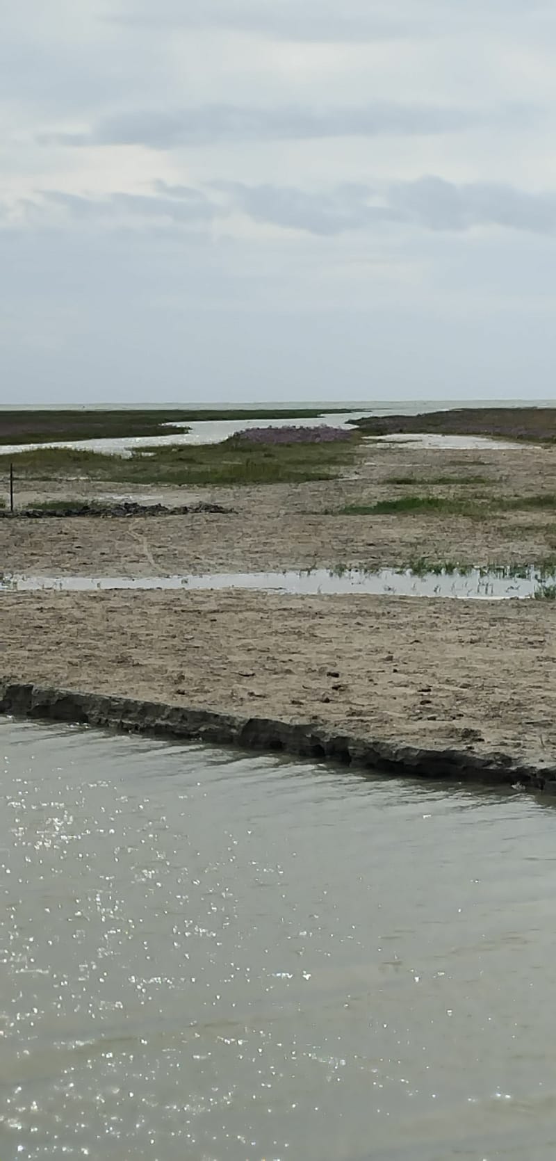 Entre dunes et terre autour de Saint-Quentin-en-Tourmont - Saint-Quentin-en-Tourmont