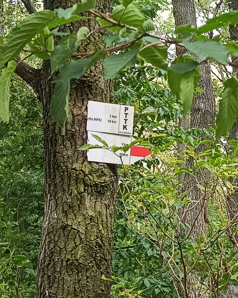 Nowosolna - Wiączyń Dolny - Łódź