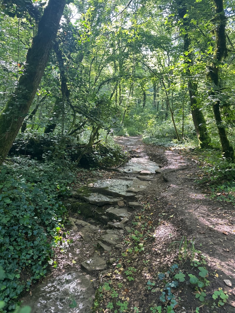 Parcours de la Combe - Hauteville-lès-Dijon