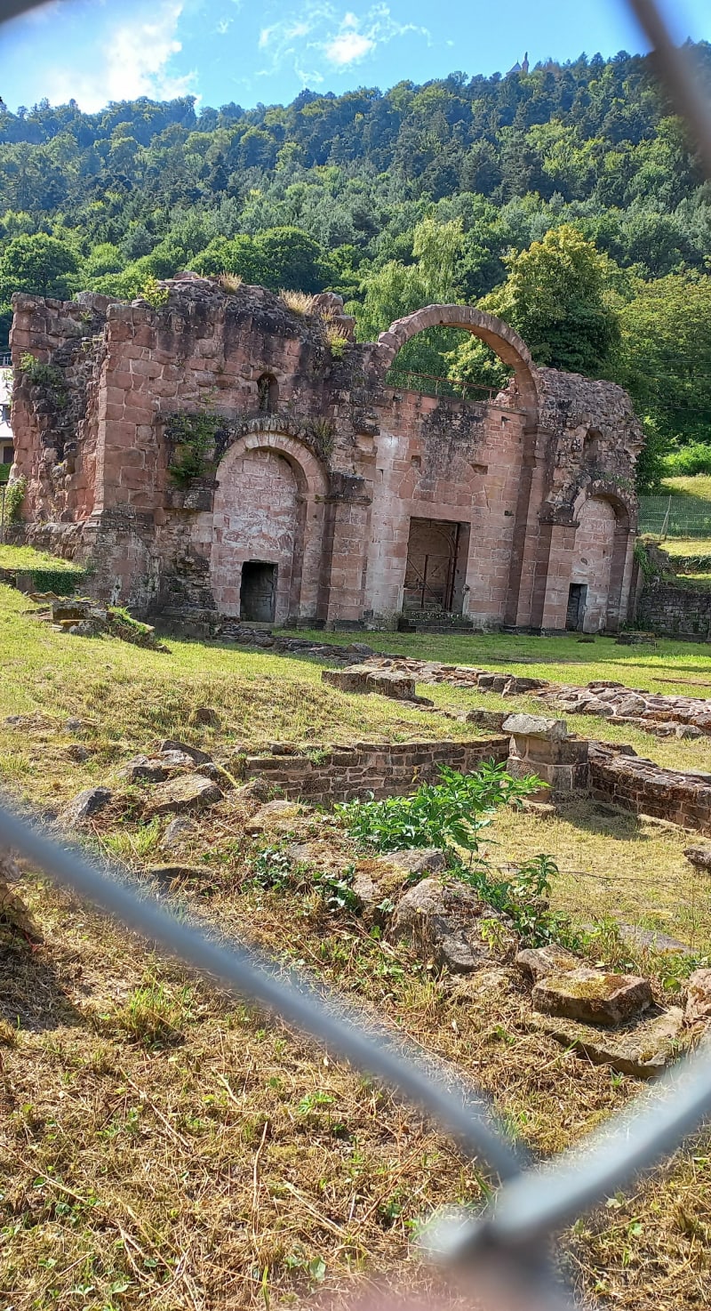 Ruines de Niedermunster - Saint-Nabor
