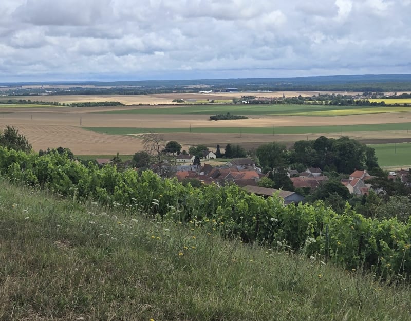 Chemin du Coucou de Larrey - Larrey