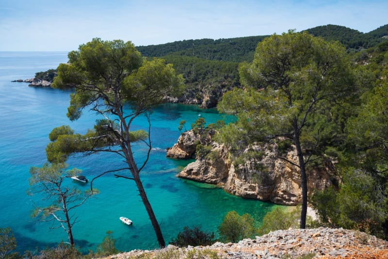 Randonnée sentier du littoral Saint-Cyr-sur-Mer : vue en hauteur de la mer bleue entourée de falaises et de végétation verdoyante