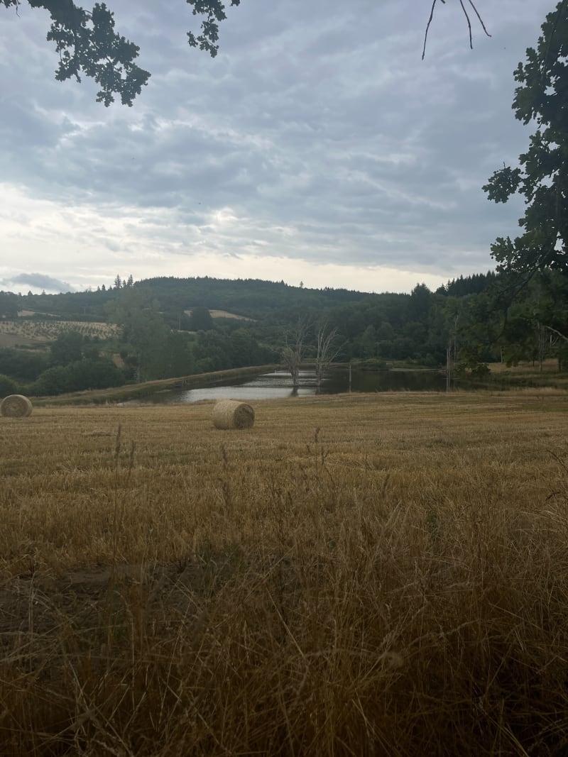 Marche au calme au départ de St-Léger sous Bevray - Saint-Léger-sous-Beuvray