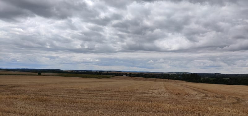 Rando dans les champs à Champagne-sur-Vingeanne - Champagne-sur-Vingeanne