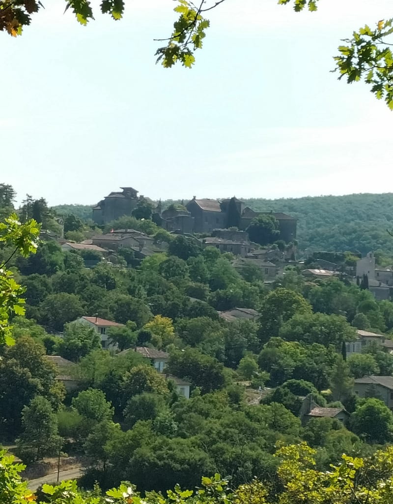 Saint Maffre vue sur le château de Bruniquel - Bruniquel