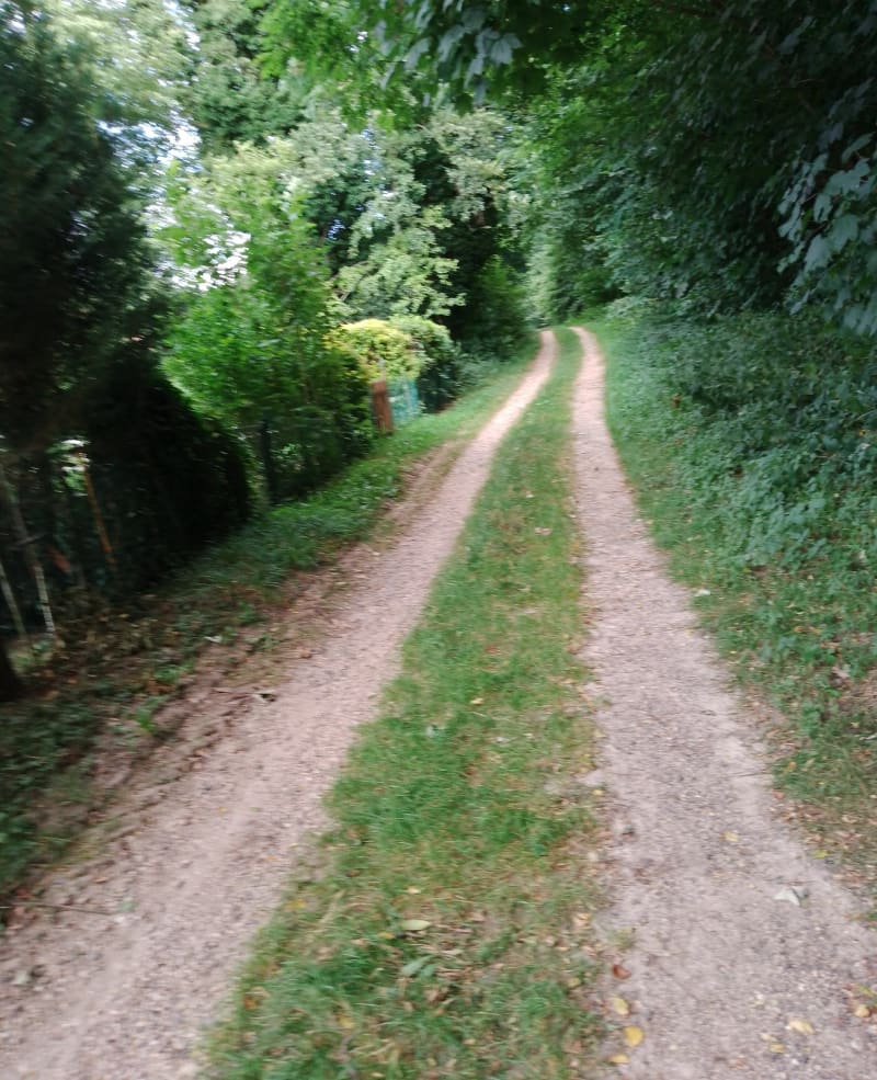 Plateau agricole de Reyrieux - Reyrieux