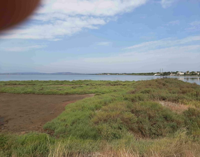 Balade dominicale depuis Jacou - Jacou