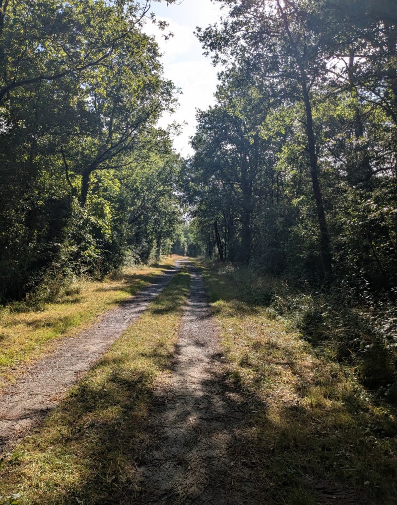 Tour de Chemellier - Brissac Loire Aubance