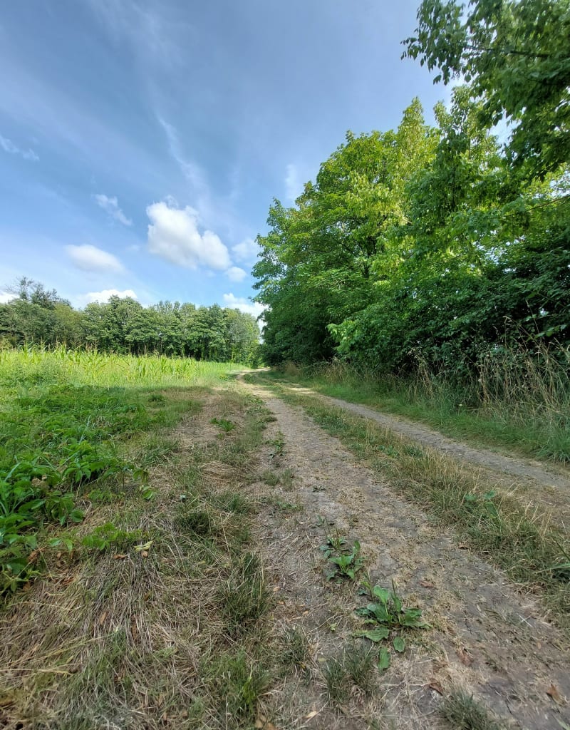 Sortie Gravel entre route et chemin à Champmillon - Champmillon