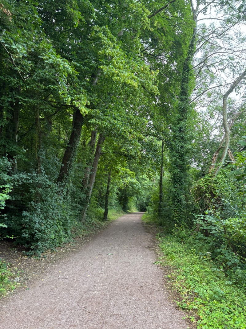 Les roches du val d’Orne et de la Laize - May-sur-Orne