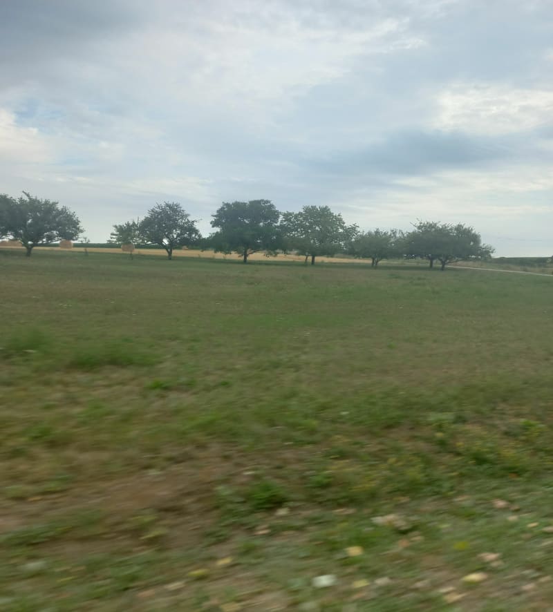 Vers le trou du Blaireau - Madonne-et-Lamerey