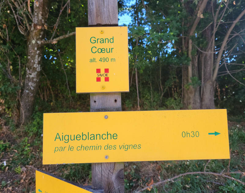 Lechemin des vignes à La Léchère - La Léchère