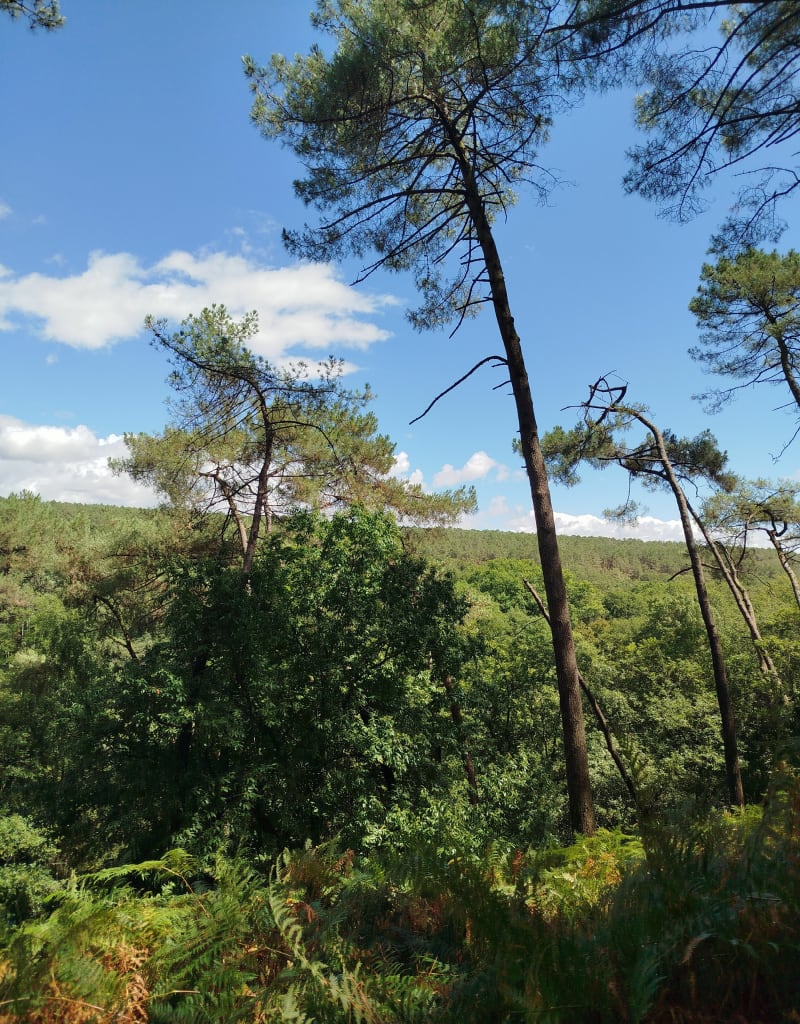 Circuit des rocs de Gascaigne - Guémené-Penfao
