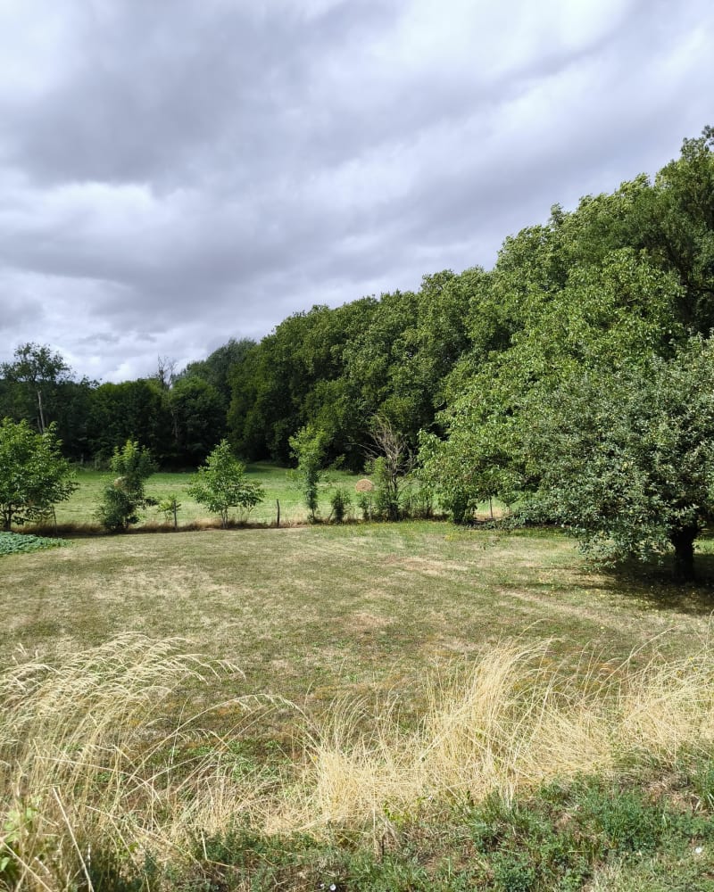 Le sentier au fil de l'Herbon - Massay