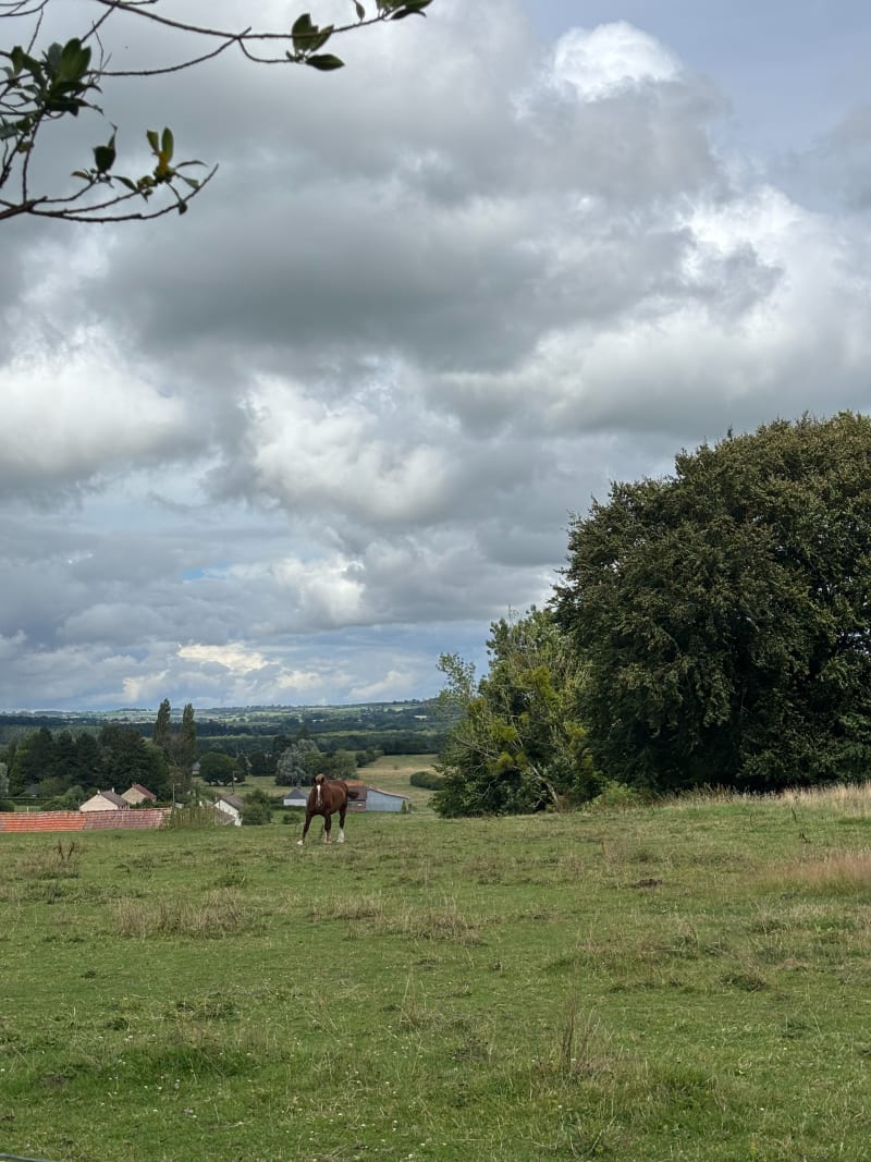 La randonnée de Mésangueville - Mésangueville