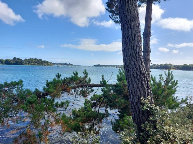 Arradon depuis le camping de l'Allée - Arradon