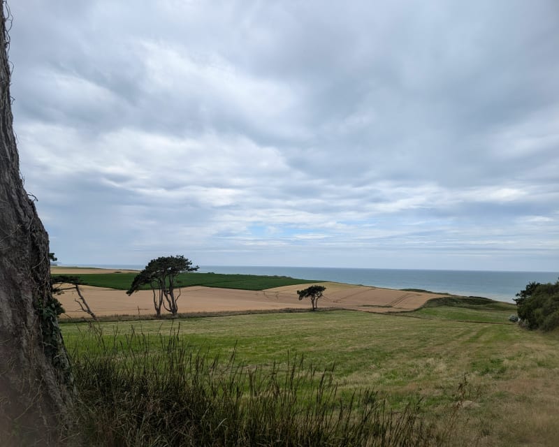 Saint Marguerite sur mer jusqu'à Longueuil - Quiberville-sur-Mer
