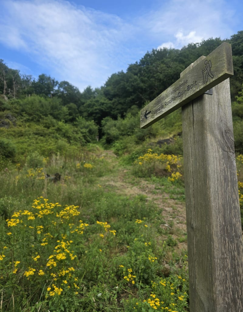 Entre la Mazure et Vezîns - Isigny-le-Buat