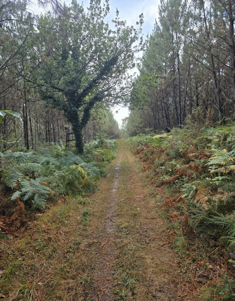 Boucle des cinq etangs à Montrem - Montrem