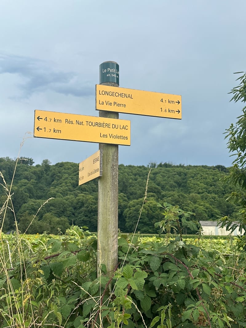 Balade tranquille à Liers - Châbons