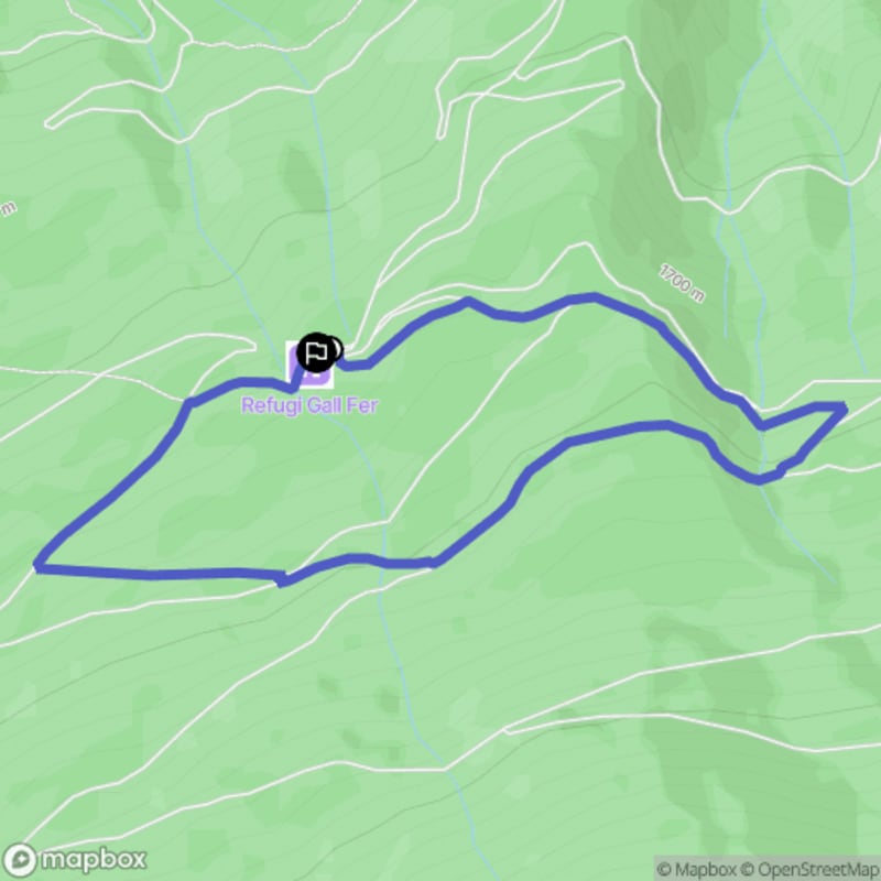 Randonnée au départ des Bordes de Buiro vers le Mirador dels Meners, Alins - Ainet de Besan
