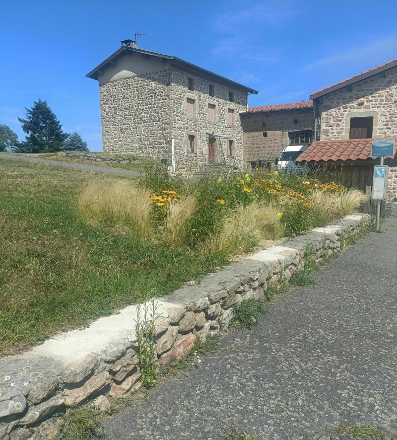 Randonnée vers Marols - Saint-Jean-Soleymieux