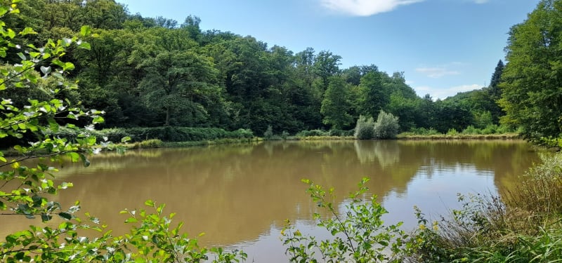 Les Couas à Champagney - Champagney